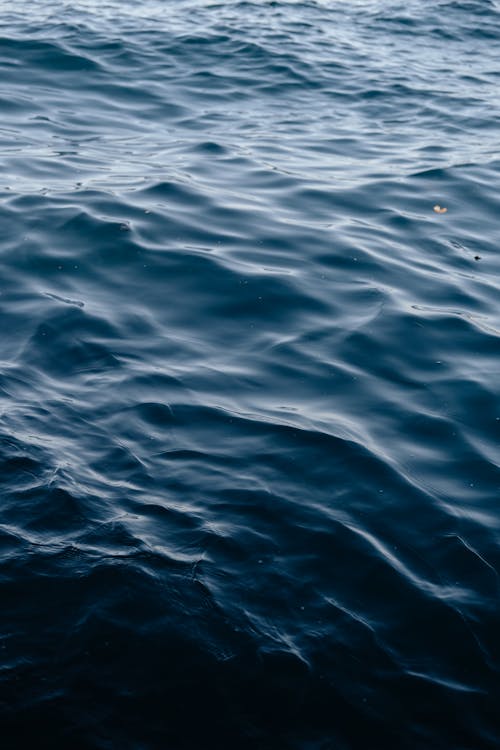 Wavy Water Surface