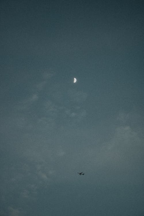 Бесплатное стоковое фото с зерно, самолет, тампа