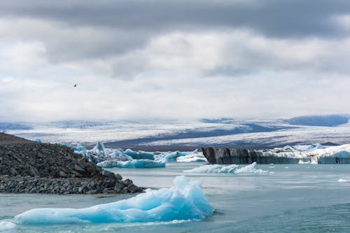Základová fotografie zdarma na téma led, moře, pobřeží