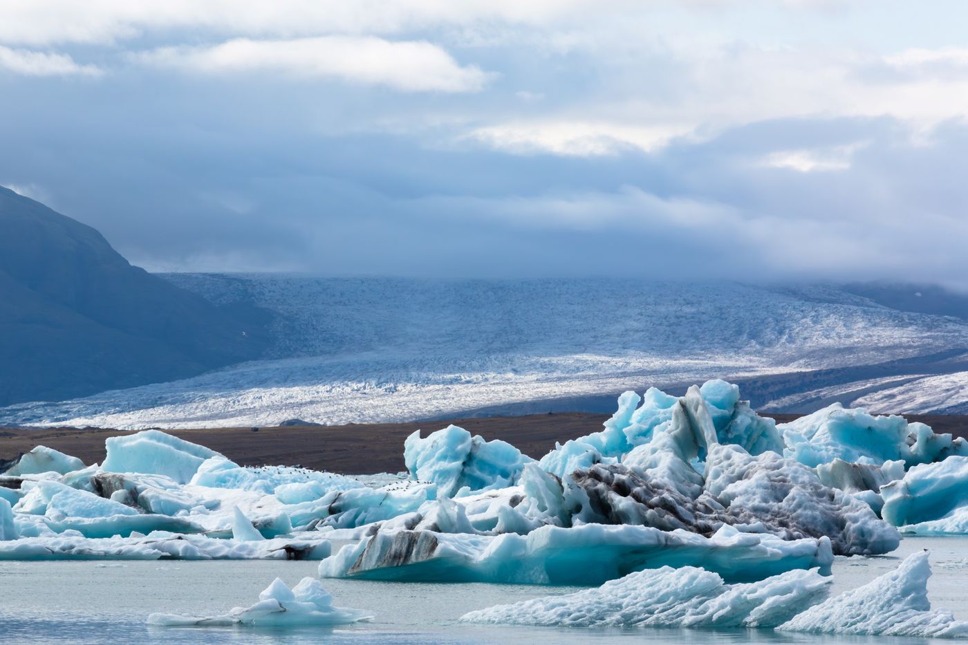 Icebergs in a lagoon with a glacier behind, in Iceland