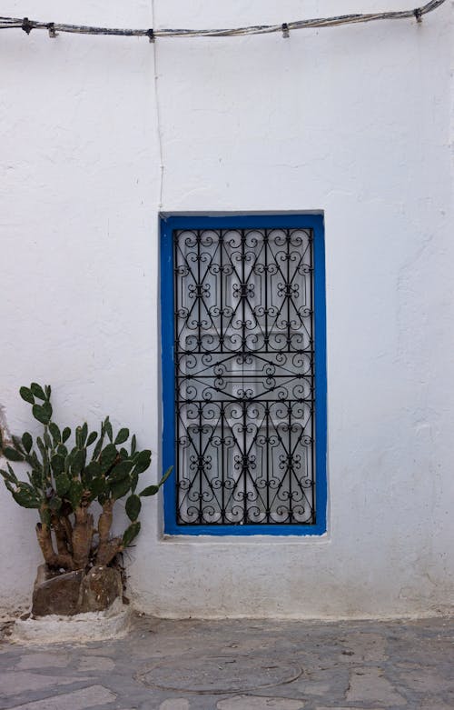 Foto profissional grátis de aparência, aumentando, barras de ferro forjado