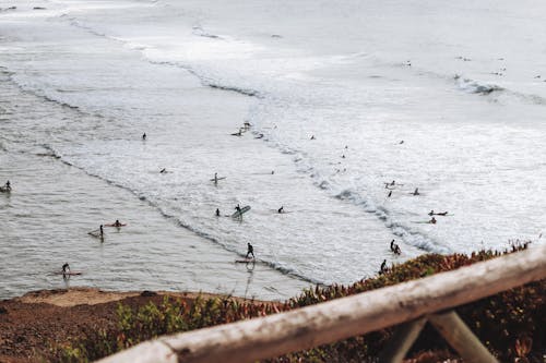 Tourists Surfing in the Sea 