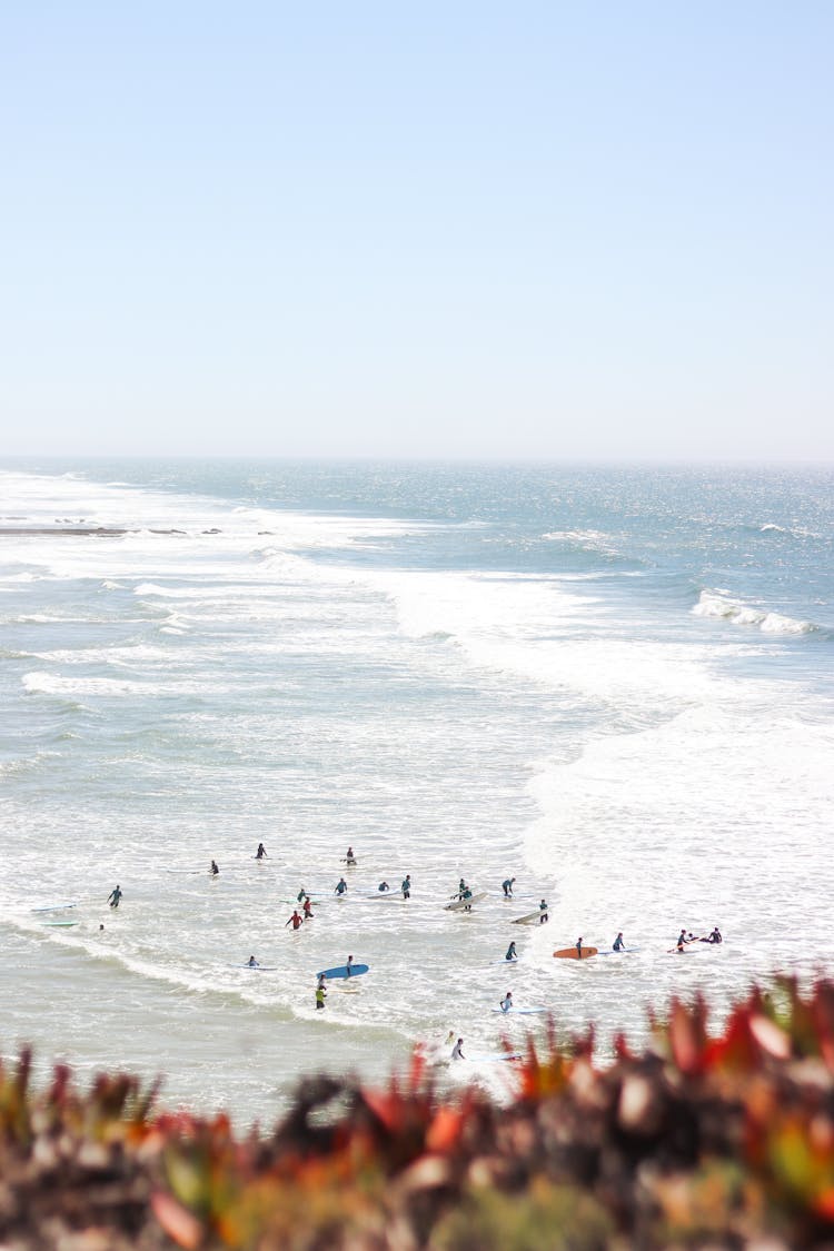 Group Of People With Surf Boards Standing In Water At An Ocean Beach