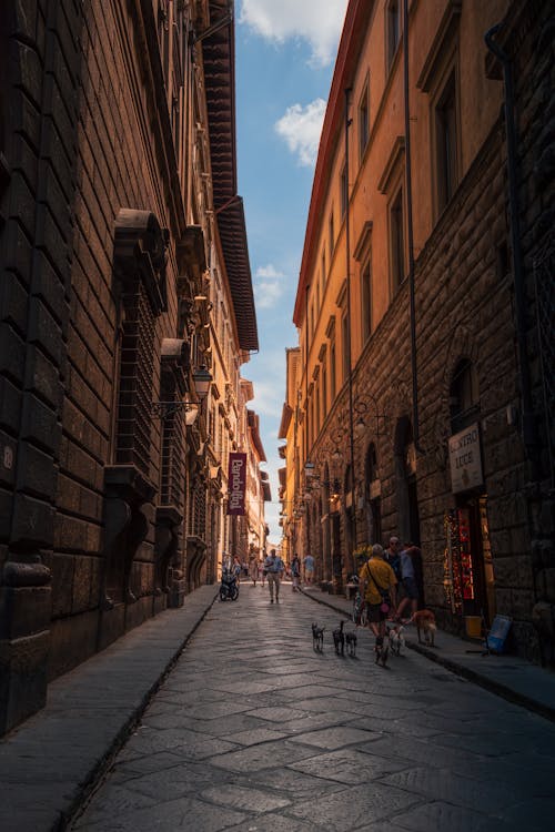 Foto d'estoc gratuïta de caminant, carreró, ciutat