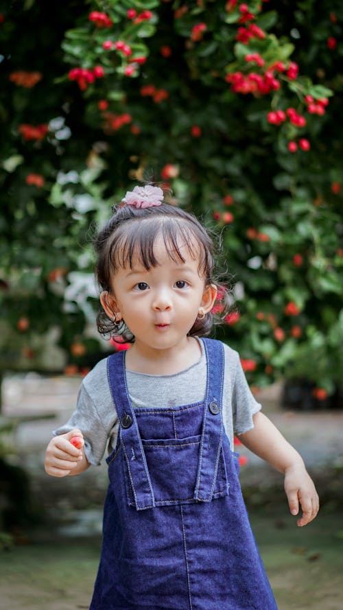 Immagine gratuita di bambino, carino, chignon per capelli