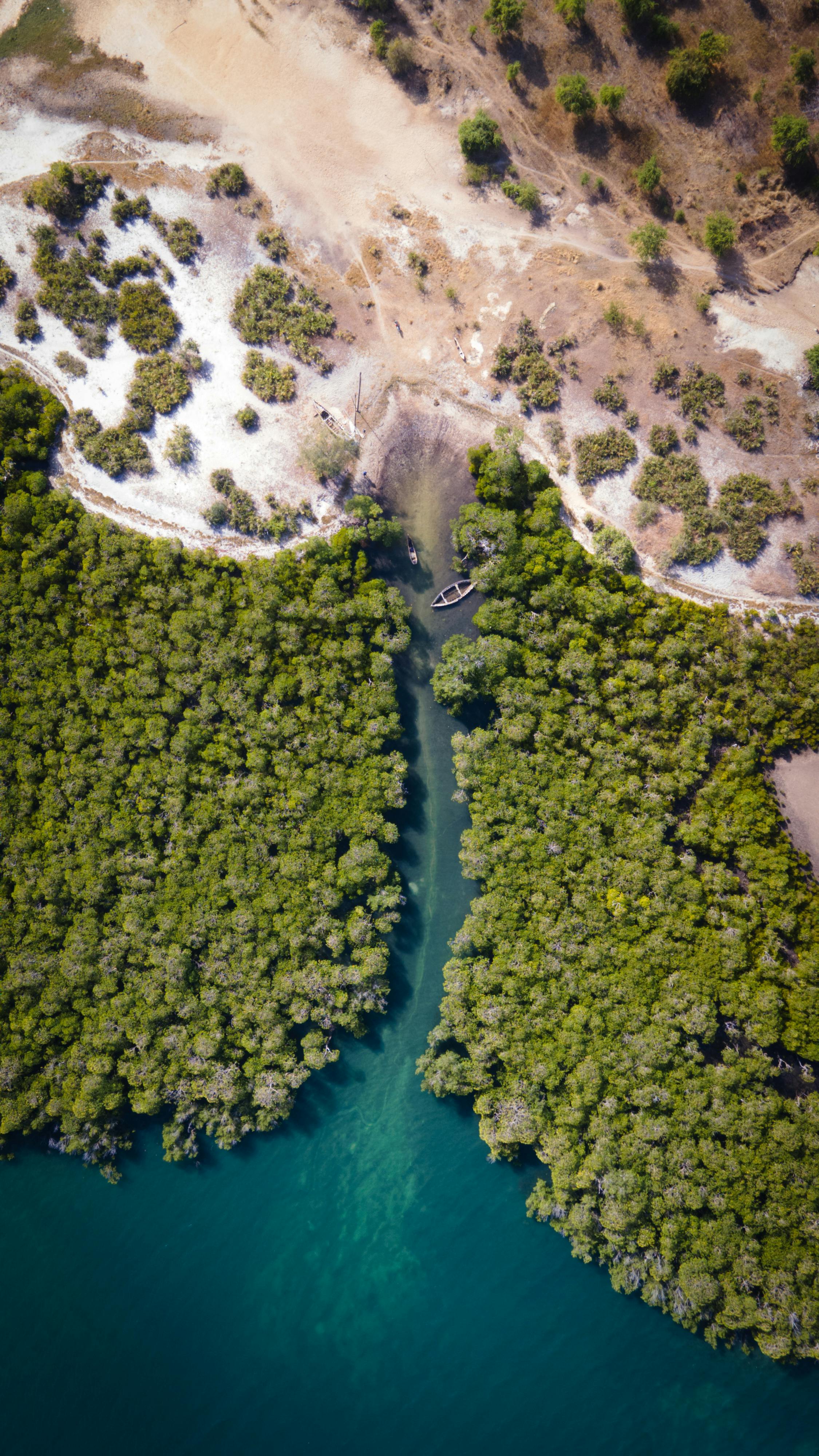 Stunning aerial view of Kilwa Masoko's lush mangroves and coastline in Tanzania.