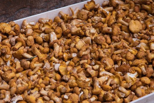 Close-up of fresh golden chanterelle mushrooms in Merano, Italy market.