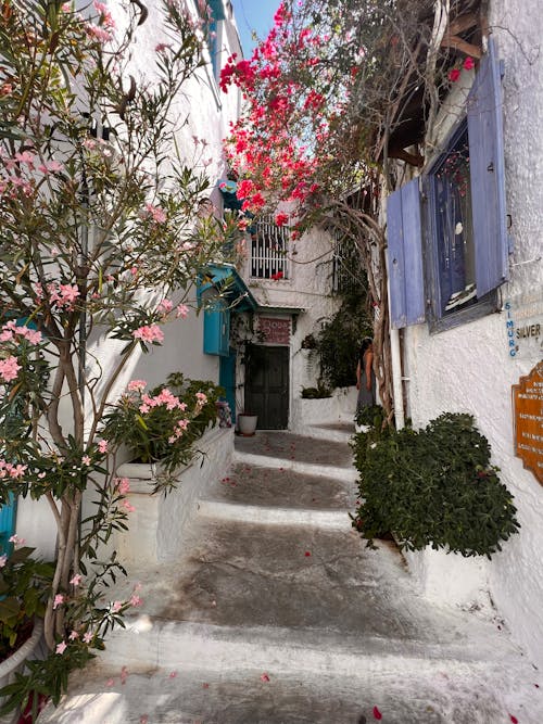 Houses Along a Stepped Walkway Decorated with Flowering Plants