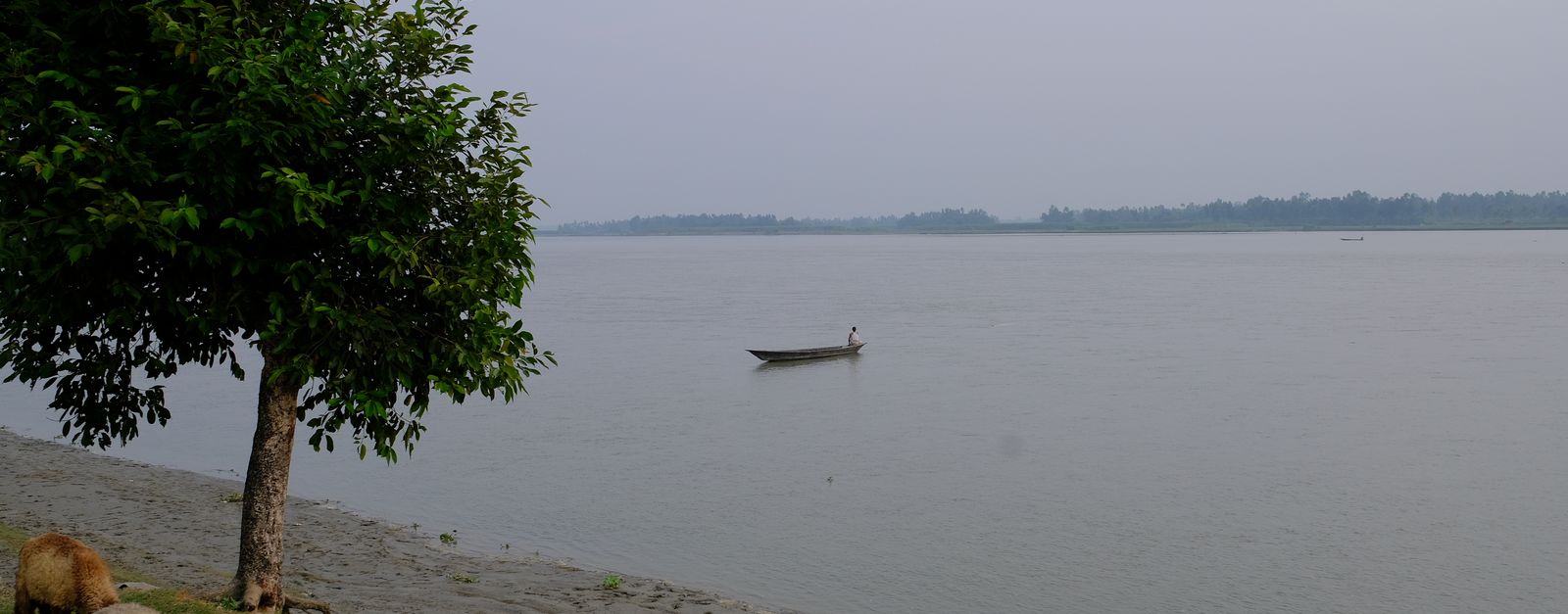 Scenic view of a serene riverfront with sheep grazing near a lone boat.