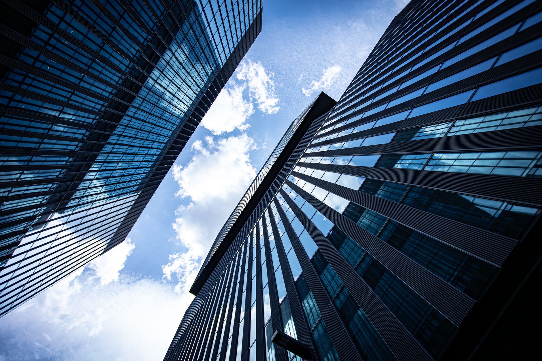 Corporate compliance and consulting