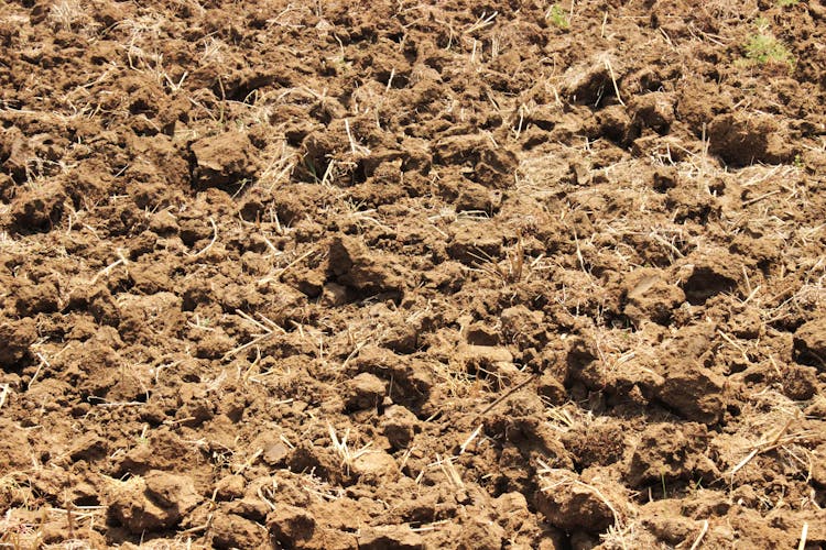 Close-up Of Dry Soil 