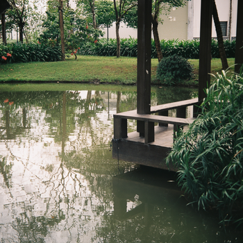 Tranquil pond in a park with a wooden dock and lush greenery reflected on water.（イメージ）