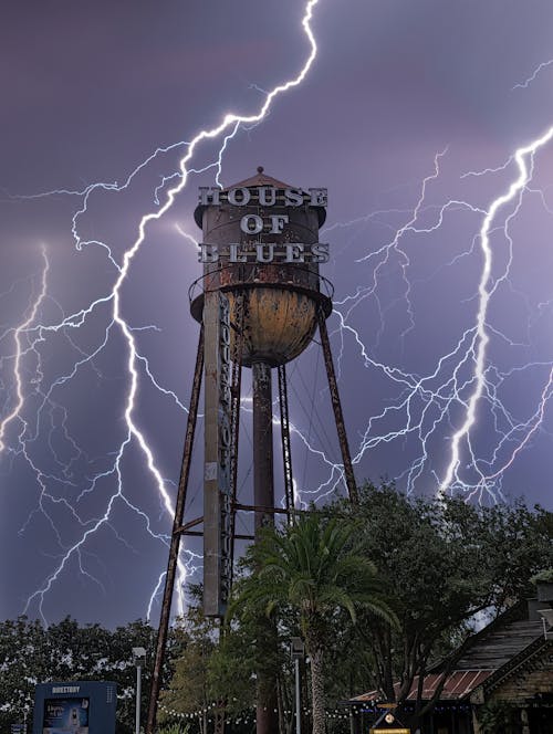 คลังภาพถ่ายฟรี ของ house of blues, กลางคืน, ท้องฟ้าที่น่าทึ่ง