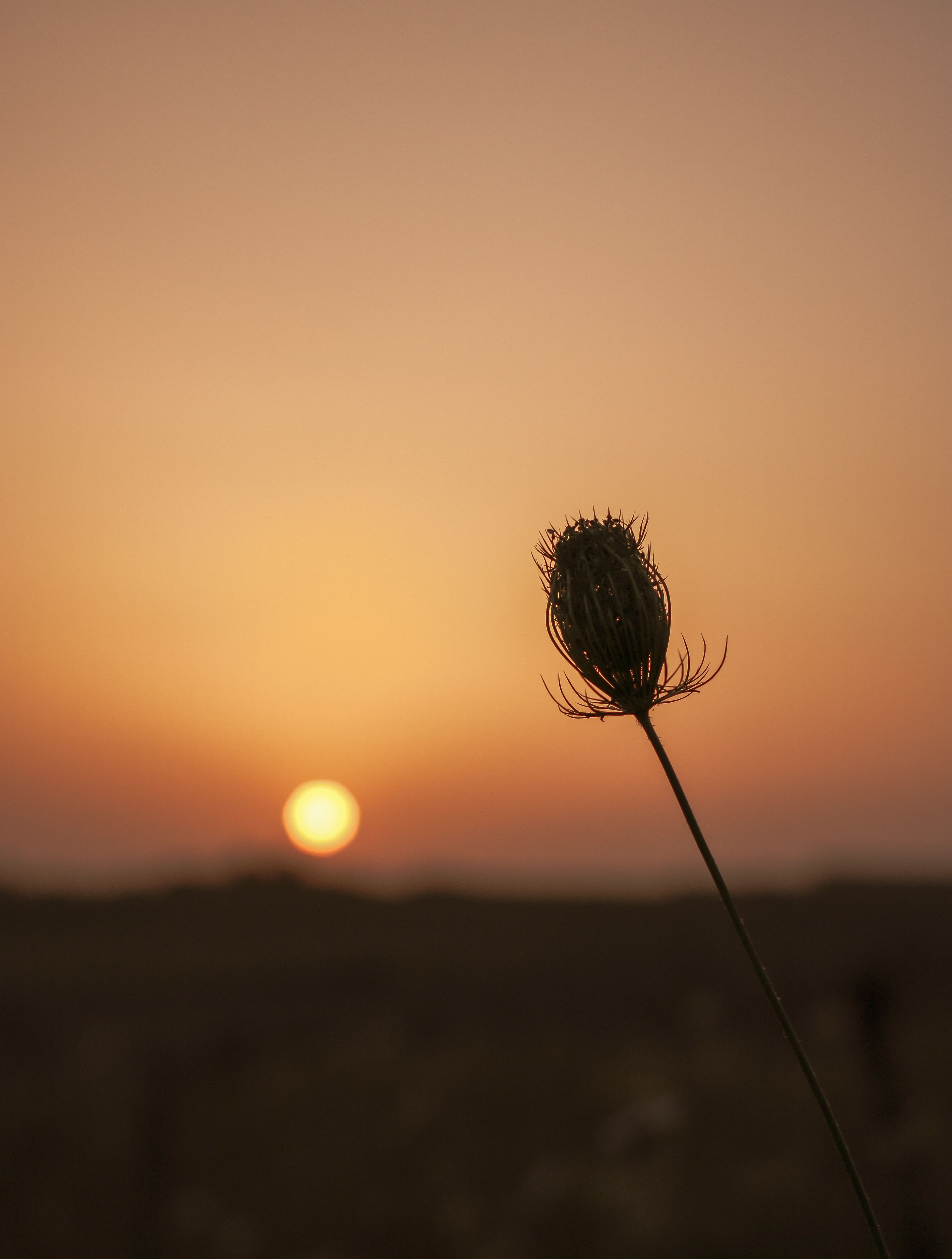 High quality minimalist sunset wallpaper by Nati from Pexels