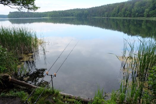 A fishing rod is sitting on the shore of a lake