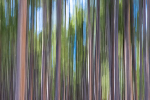 Abstract image of trees with motion blur creating a colorful vertical pattern.