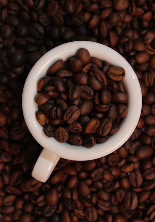Photos gratuites de café noir, céréales, moulin à café