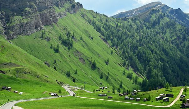 A picturesque view of a lush green valley with scattered huts and winding road in summer.
