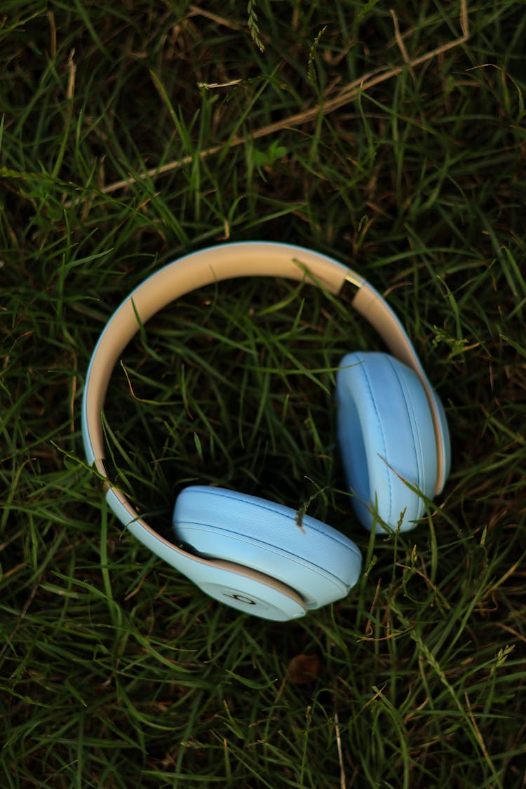 Headphone On Grass