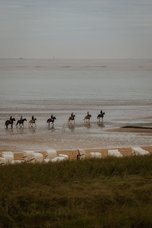 People Riding Horses on Sea Coast