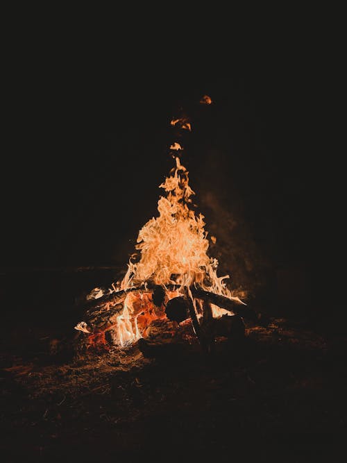 모닥불, 밤, 불의 무료 스톡 사진