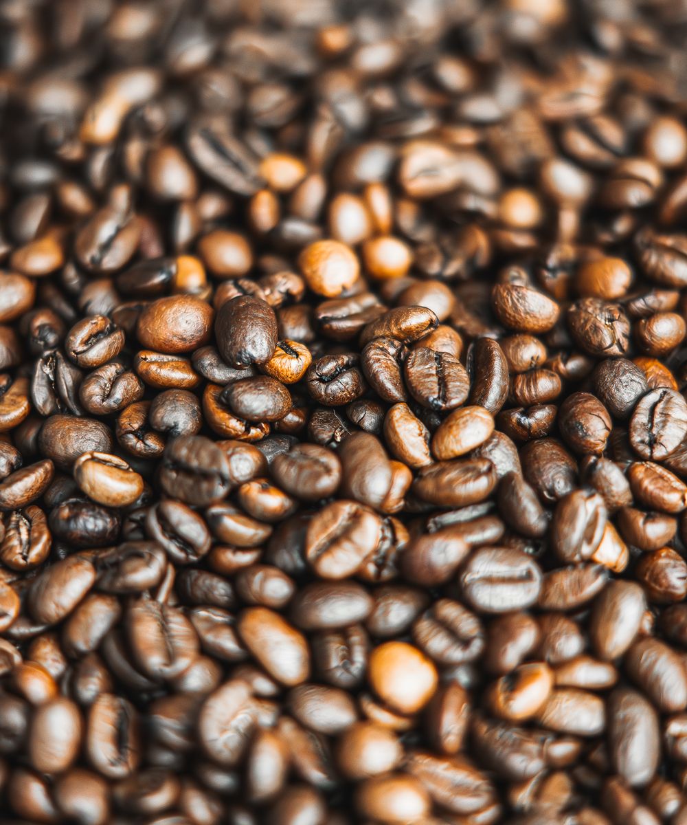 Cerrado Noir coffee