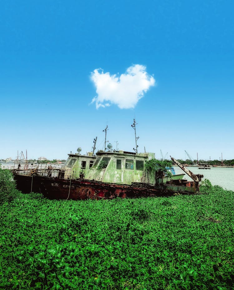 Old Boat In Harbor