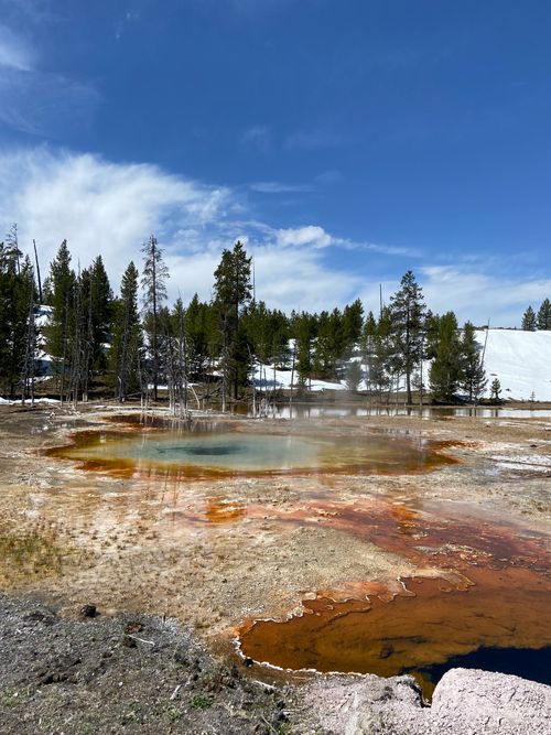 Free Captivating view of a geyser basin in Yellowstone National Park with steam and vivid colors. Stock Photo