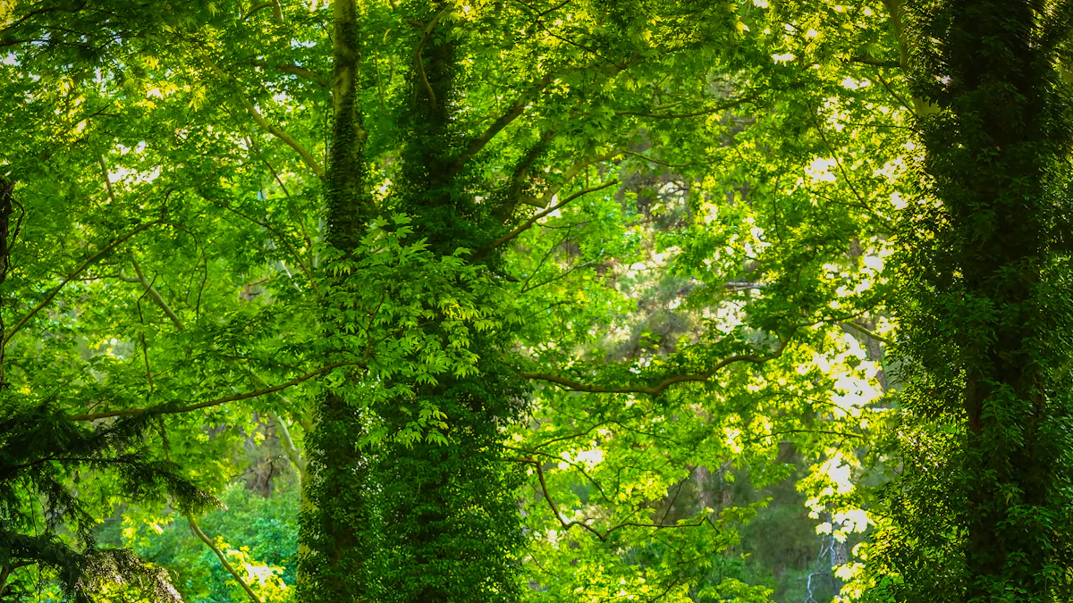 Effective Tips for Growing Your Business in Stockport