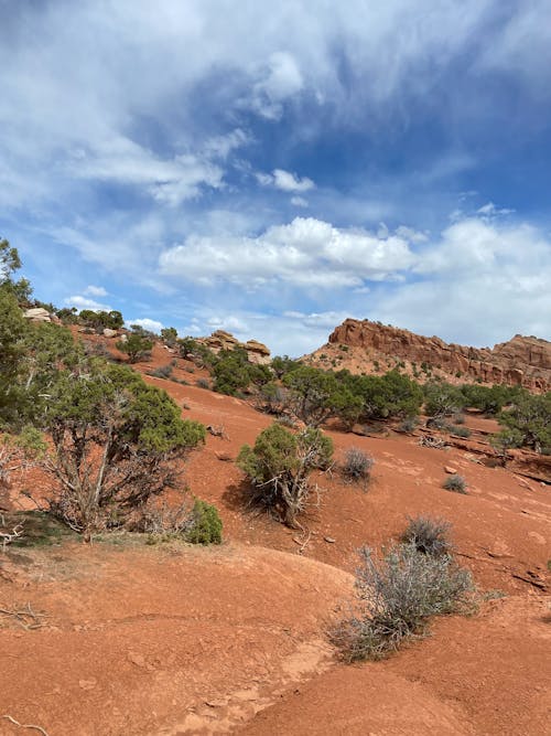 Foto profissional grátis de areia vermelha, céu azul, colinas