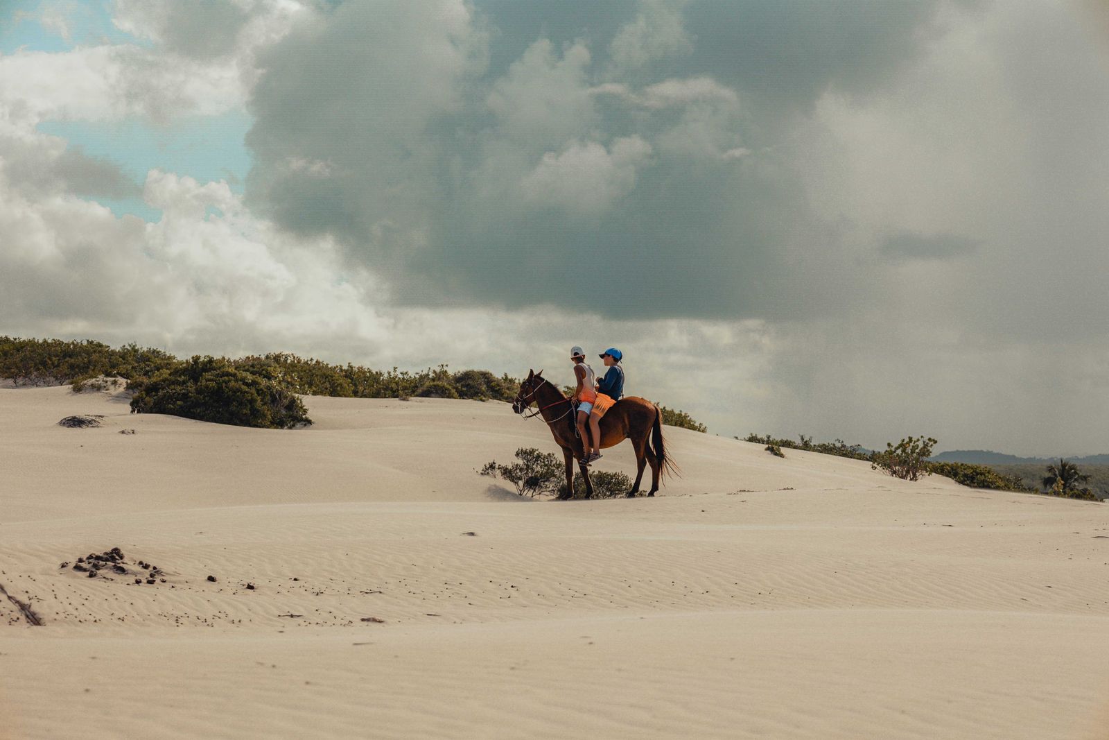 Young rider guided during a family horse riding experience