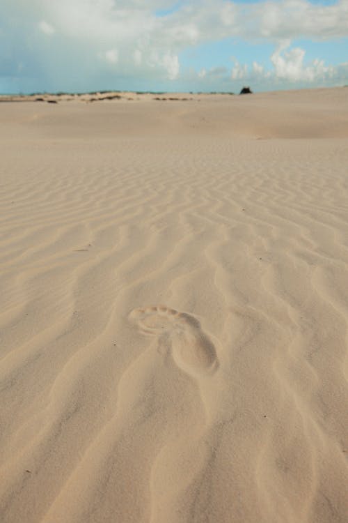 A Footprint in the Sand on the Beach 
