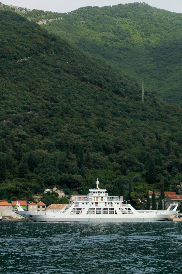 Passenger Ship Near Forest On Hills On Shore