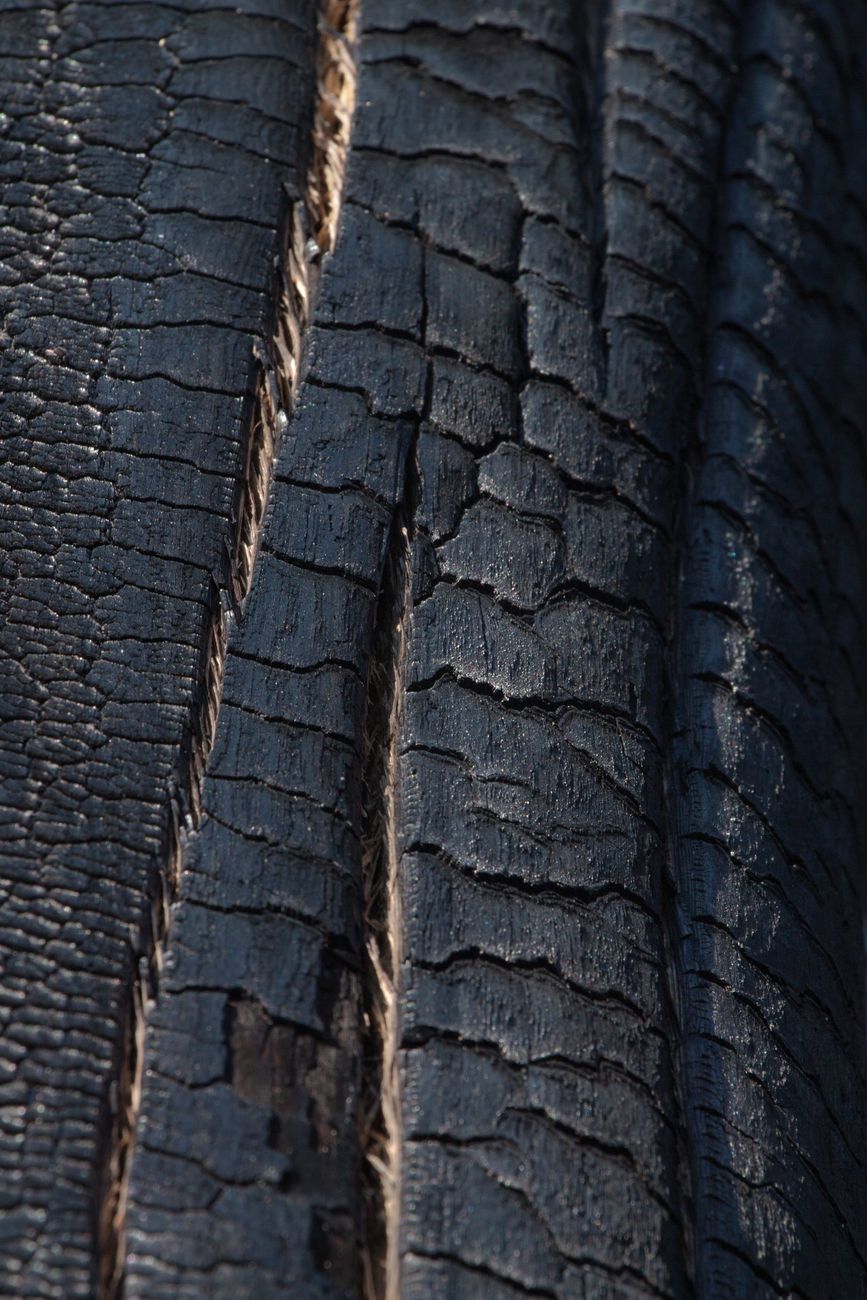 pale ash wood grain
