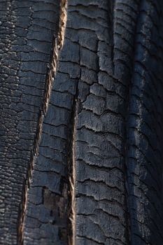 charred scorched burnt wood