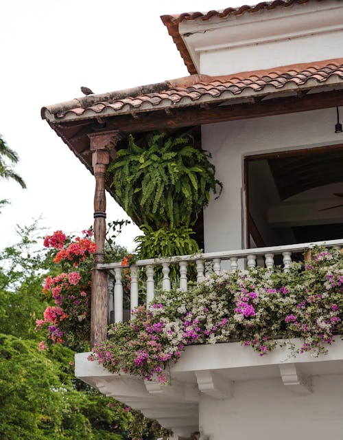 Gratis stockfoto met balkon, balkons, bloemen