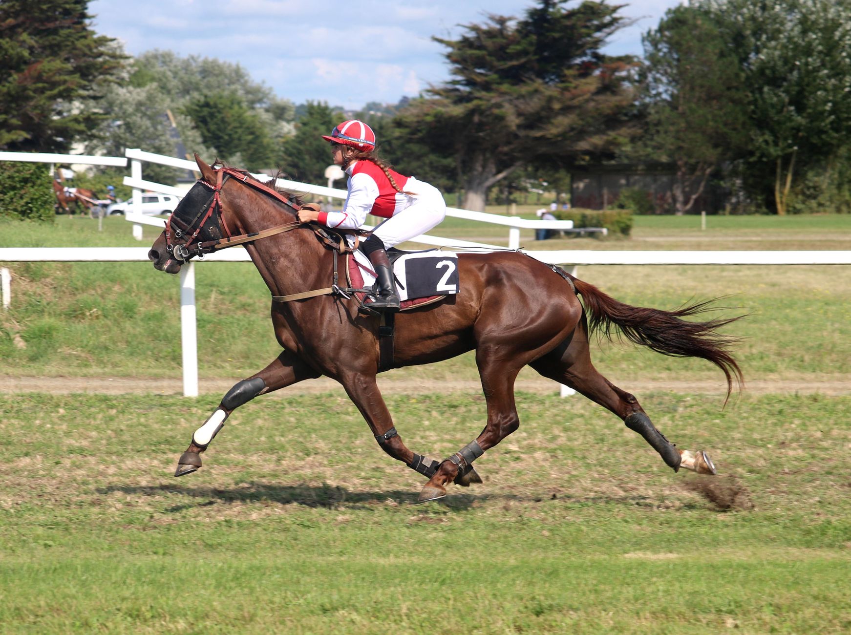 A jockey guides a galloping horse on a vibrant racetrack in Normandie, France.