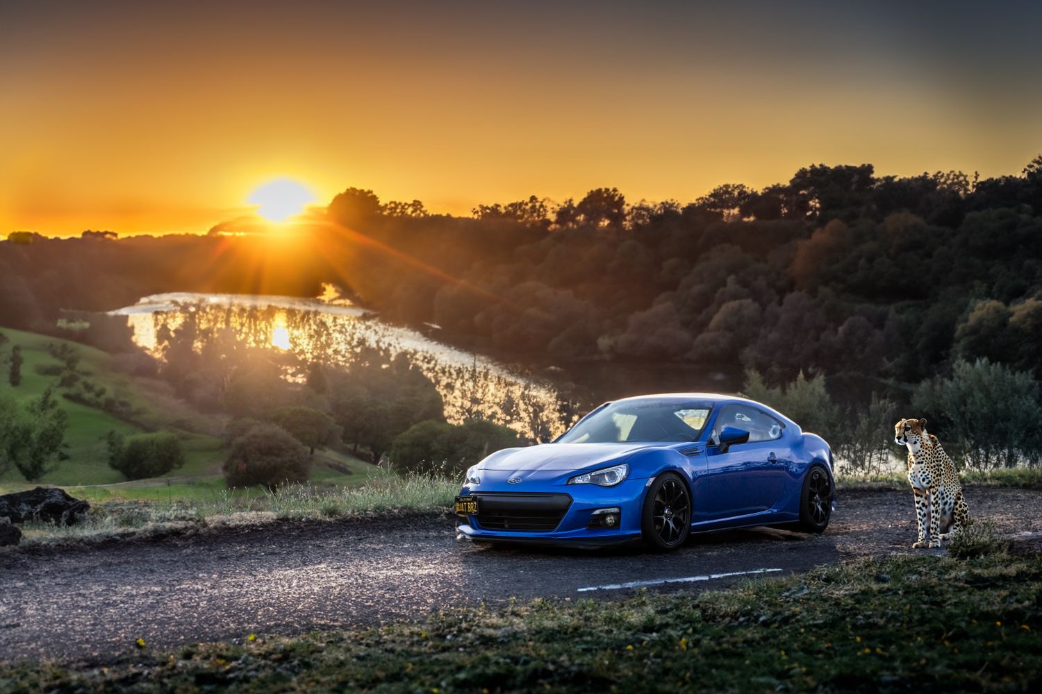 100 000 Best Car Wallpapers Photos 100 Free Download Pexels Stock 100-000-best-car-wallpapers-photos-100-free-download-pexels-stock