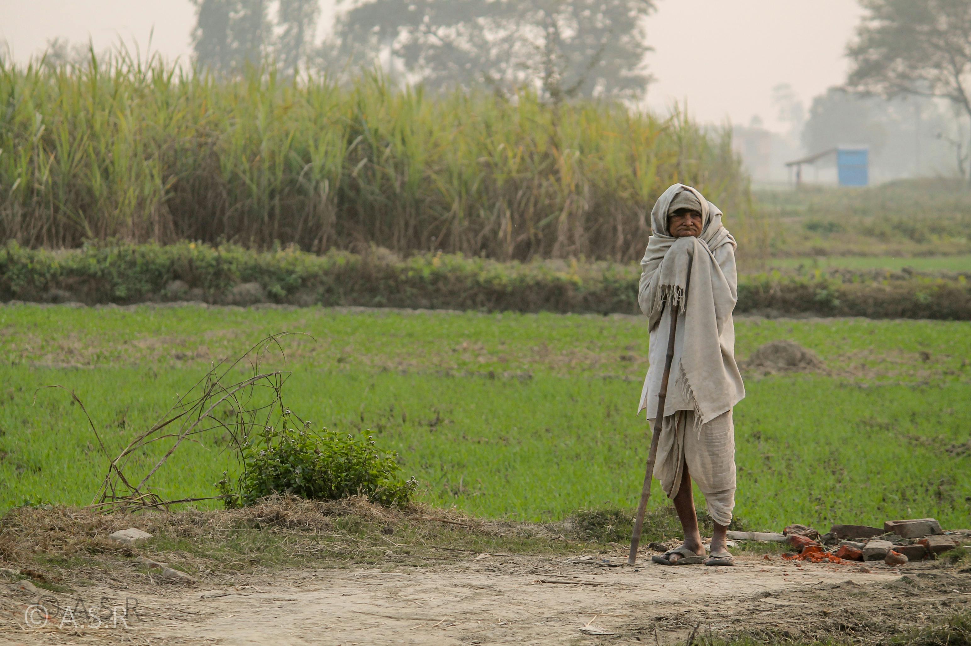 Free stock photo of farmer, farmer life, incredible india