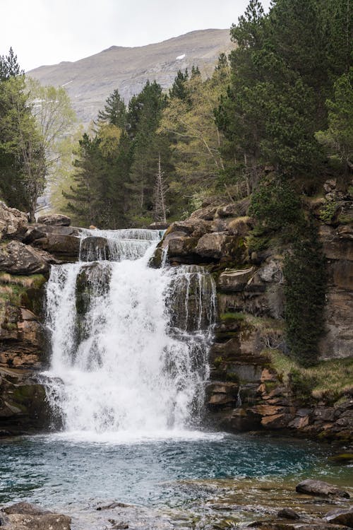 Foto profissional grátis de água corrente, árvores, cachoeira
