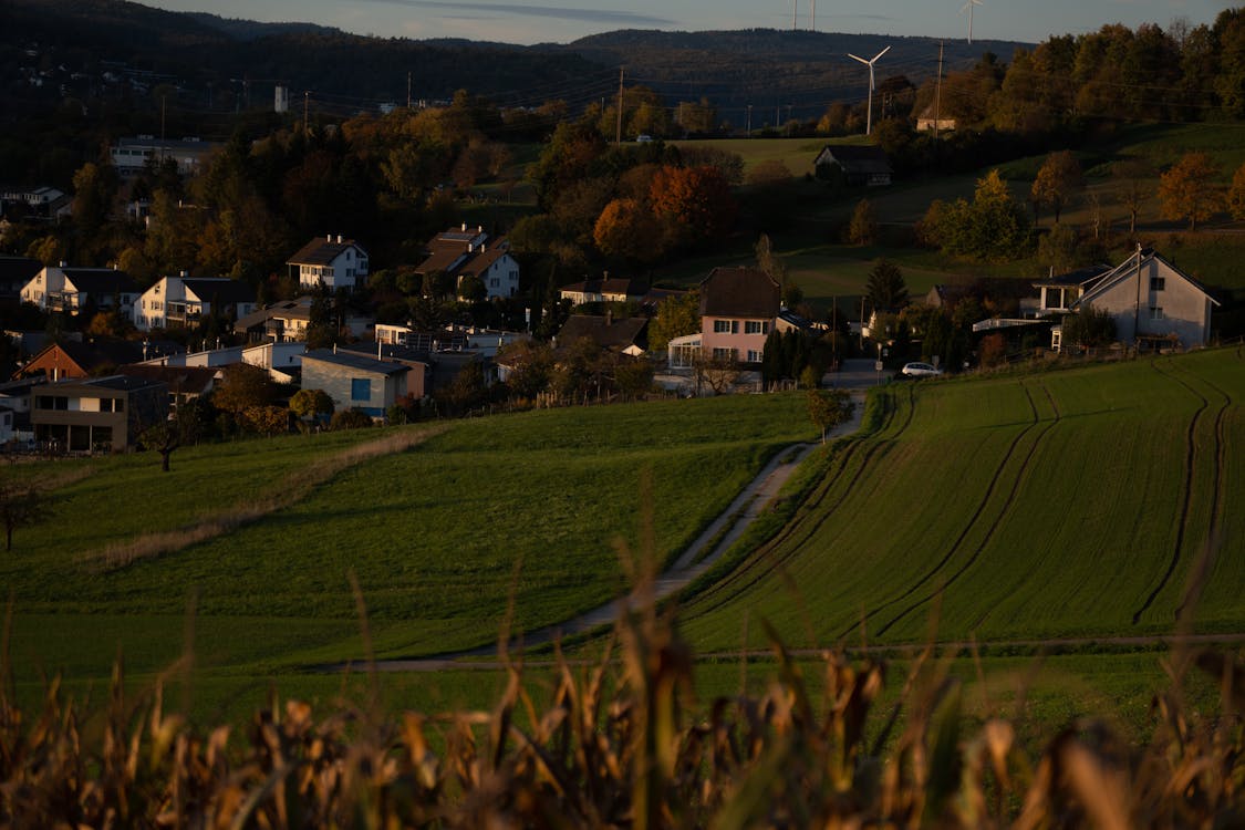 Wertvolle Kunstobjekte und Vermögenswerte