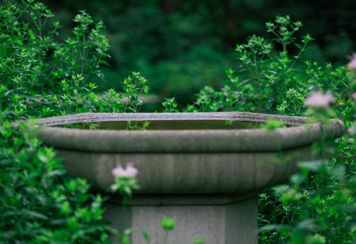 Free A stone fountain surrounded by vibrant green plants, creating a serene outdoor scene. Stock Photo