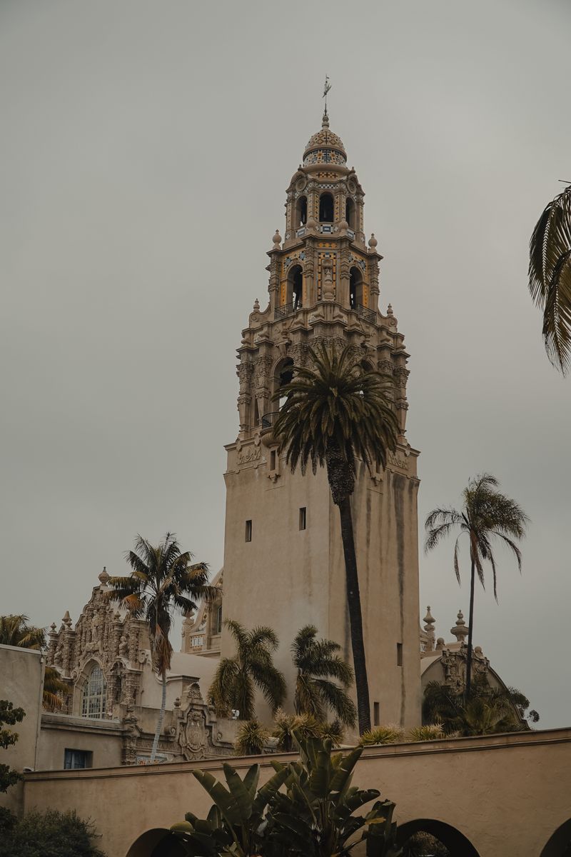 California Tower at the Museum of Us rising above the trees of Balboa Park, San Diego