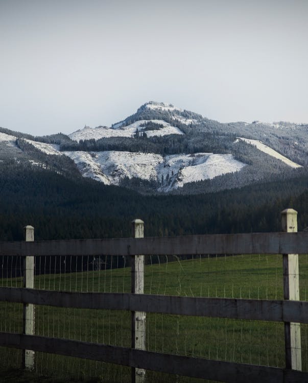 Snowcapped Mountain