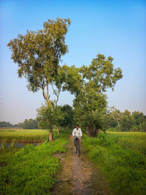 人, 印度, 垂直拍攝 的 免費圖庫相片