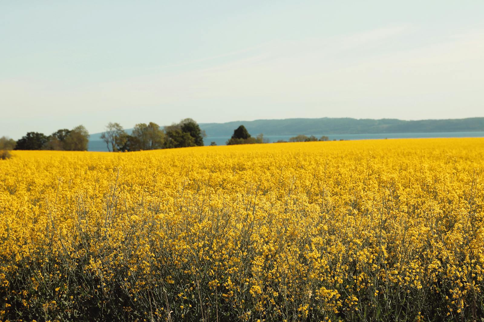 June Landscape Photos, Download The BEST Free June Landscape Stock