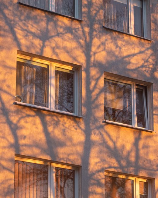 Warm sunset casts intricate tree shadows on building windows, emphasizing architectural design.