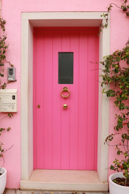 Bright pink door with plants on a Venetian building wall.