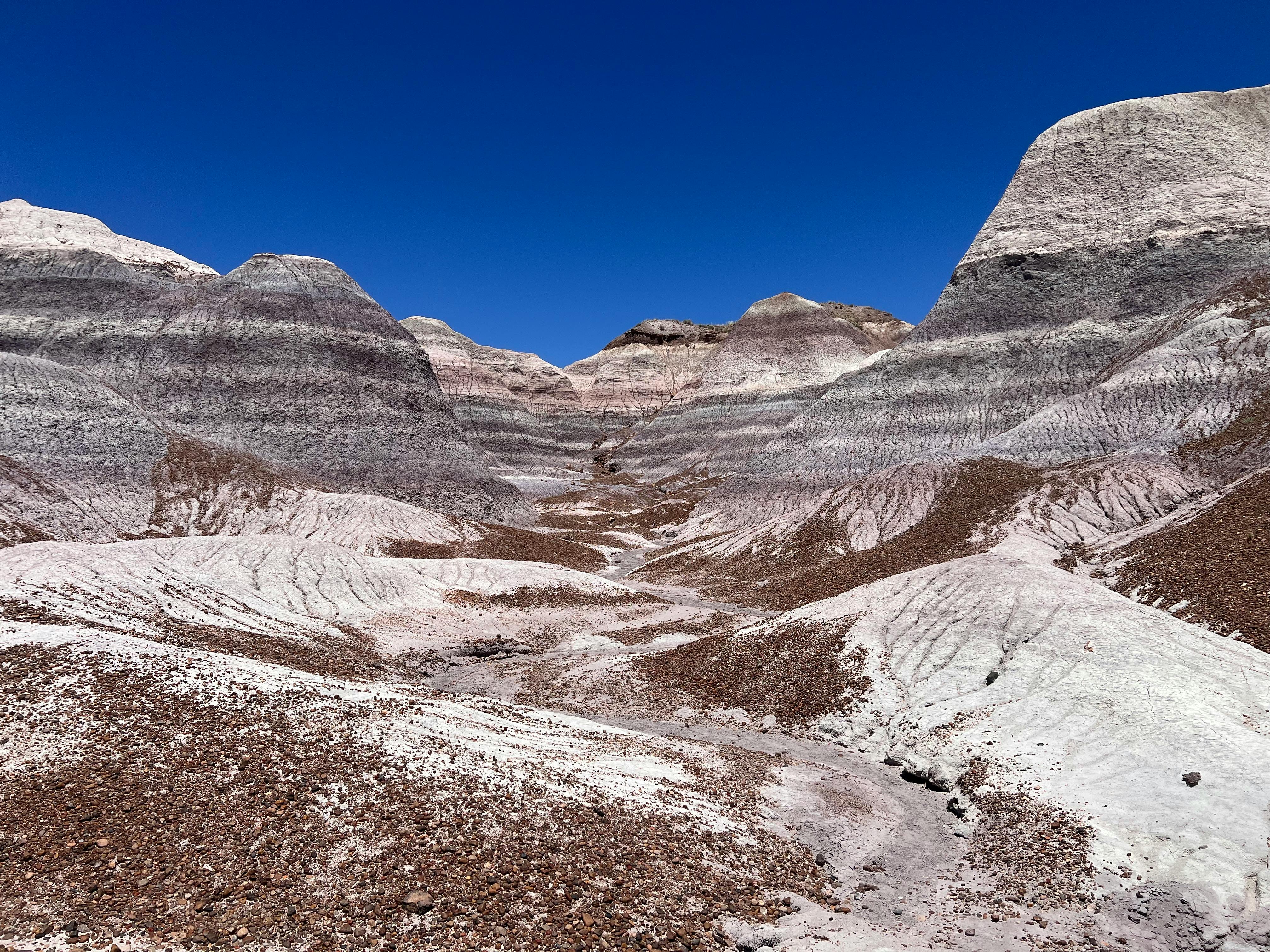 Explore the stunning rock formations of Petrified Forest National Park, AZ.