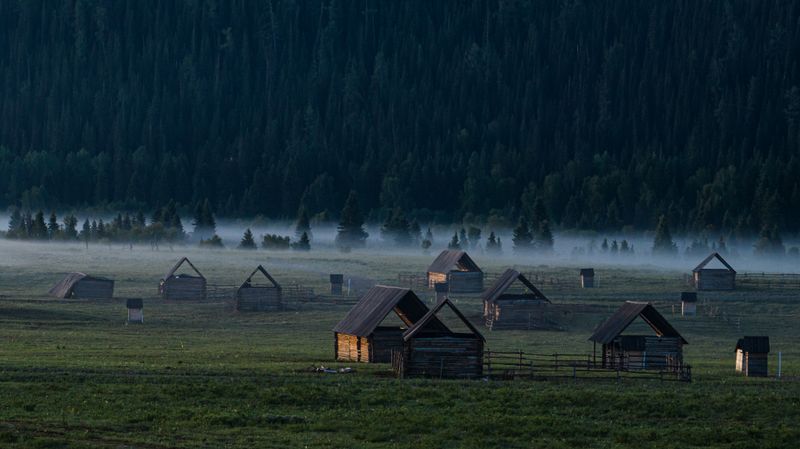 Деревянные домики в туманной долине на рассвете